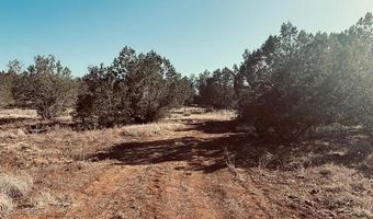 Terry Lane, Ash Fork, AZ 86046