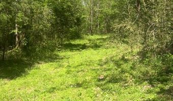 Wolf Hill Rd, Bethpage, TN 37022