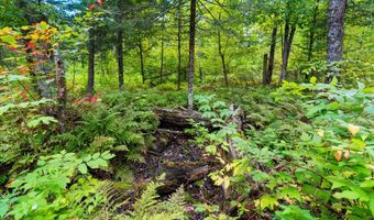 Double Bend Road, Argonne, WI 54511