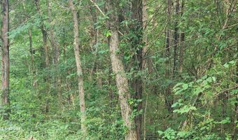 Shady Lane, Big Sandy, TN 38221