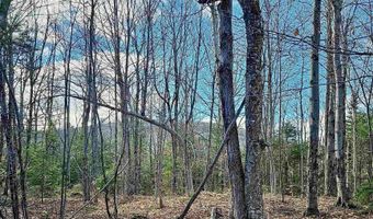 Lot 28 Knowles Hill Road West, Alexandria, NH 03222