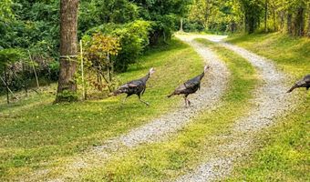 Rock House Hollow Pvt Ct, Bethpage, TN 37022