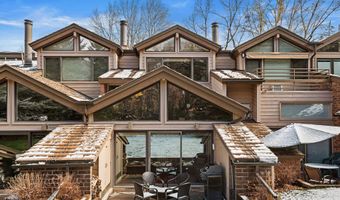 625 S West End St 12, Aspen, CO 81611