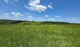 205 Th Trl, Albia, IA 52531