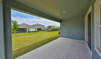 5402 TAGALONG Pl, Apollo Beach, FL 33572