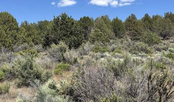 Medicine Mountain Drive 1, Beatty, OR 97621