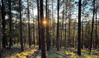 141 Afv N Back Basin Rd, Angel Fire, NM 87710