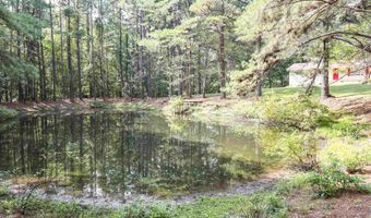 51 GORMAN Loop, Arkadelphia, AR 71923