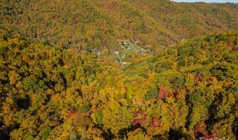 99999 Harwood Rd, Barnardsville, NC 28709