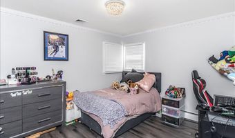 16 Netz Pl, Albertson, NY 11507
