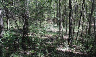 6 95 Acres 7th St, Ardmore, AL 35739