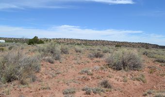 N8577 18, Concho, AZ 85924