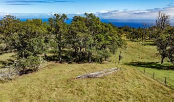 OLD STABLE RD Lot #: 13, Paauilo, HI 96776