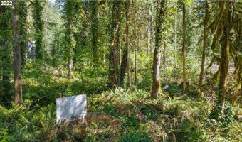 64281 E BRIGHTWOOD LOOP Rd, Brightwood, OR 97011