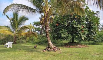 15-1843 11th Ave, Keaau, HI 96749