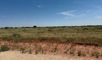 1170 SE 1630, Andrews, TX 79714