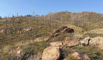 Pine Acres Rd, Bellvue, CO 80512