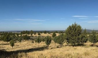 Old Coyote Ct, Alturas, CA 96101