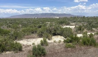 1565 William Harrison Ave, Battle Mountain, NV 89820