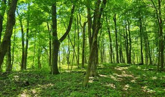 34 Stonykill & Granite Rd, Accord, NY 12404