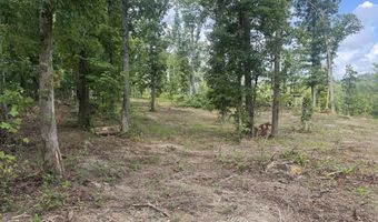 Tract 2 Mill Creek Rd, Andersonville, TN 37705