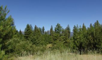 Skunk Creek Road, Cascade, ID 83611