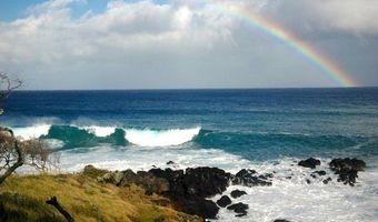 56-135 PUALANI Rd, Hawi, HI 96719