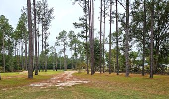 290 Long Rd, Bainbridge, GA 39817