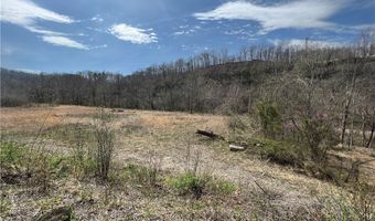 Little Coal River Road, Alum Creek, WV 25501