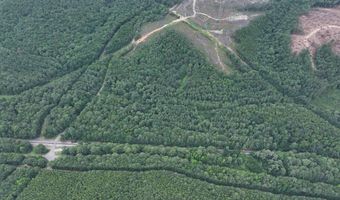 8501 Lawsontown Rd, Adger, AL 35444