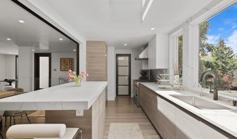 120 S Spring St 1, Aspen, CO 81611