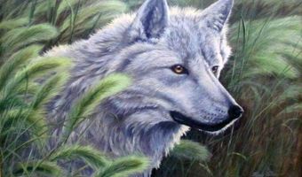 355 S WASHINGTON St, Afton, WY 83110