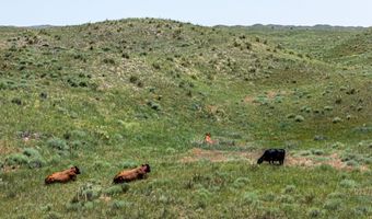 US Highway 385, Alliance, NE 69301