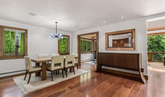 203 Eastwood Dr, Aspen, CO 81611