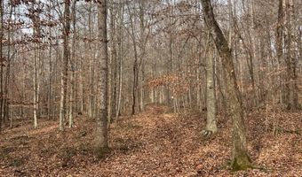 1383 HogBack Rd, Albany, KY 42602