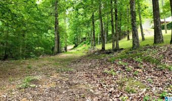 COLVIN SPRINGS ROAD 6, Ashville, AL 35953