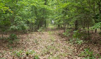 3899 County Road 304, Alton, MO 65606