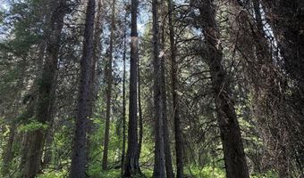 24 Wapiti Dr 17, 18,& 23, Cascade, ID 83611