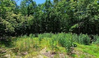 0000000 Easement, Annapolis, MO 63620