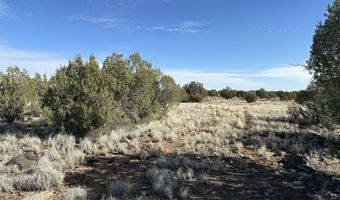 116 B NE Raging Crab Rd, Ash Fork, AZ 86320
