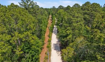 4814 NW 244 Ave, Alachua, FL 32615
