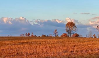 447 County Road 215, Abbeville, MS 38601