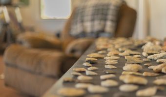 344 Pine Ridge Trl, Almond, NC 28702