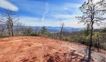 430 Live Oak Ter, Andrews, NC 28901
