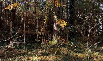 Lot 19 FOLLY CREEK CLUB LN, Accomac, VA 23301