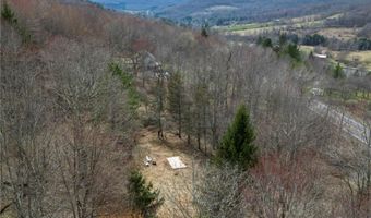 State Highway 28, Andes, NY 13731