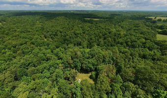 County Road 200, Alton, MO 65606