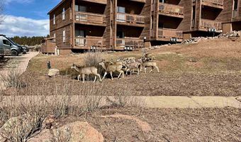 10 Valley Rd, Angel Fire, NM 87710