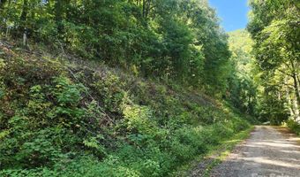 Jacks Knob Road, Barnardsville, NC 28709