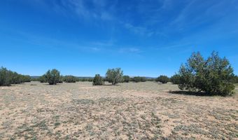 N xxxxx Road 249A, Ash Fork, AZ 86320